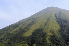 Gunung Penanggungan Mojokerto Rawan Terjadi Karhutla saat Kemarau, Pengawasan Diperketat