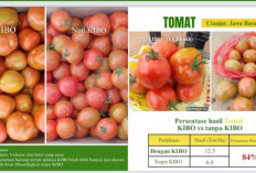 Pupuk Hayati, Salah Satu Pilihan dalam Program Ketahanan Pangan