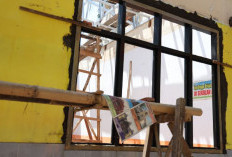 Pemkab Jember Kucurkan Rp187,38 Miliar untuk Revitalisasi 258 Sekolah