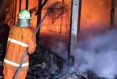 Kandang Ayam di Kemlagi Mojokerto Terbakar, Dua Unit Damkar Dikerahkan