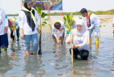 Gubernur Khofifah Borong Dua Penghargaan Nasional dari Disway Top Regional Leader Awards 2026
