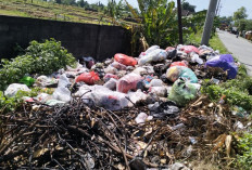 Bau Menyengat dari Sampah Liar di Pungging Ganggu Pengguna Jalan, DLH Buka Suara