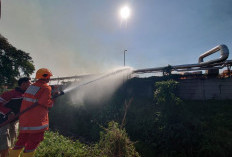 Kebakaran Lahan Merembet ke Pabrik Tisu SPS Mojokerto, Tumpukan Waste Paper Dilalap Api