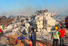 Kebakaran Pabrik Tisu di Mojokerto Akhirnya Padam, 27 Unit Damkar Dikerahkan