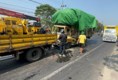 Kecelakaan Beruntun Truk, Terios dan Motor di Mojokerto, Pengendara Scoopy Meninggal