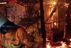 92 Kebakaran Terjadi di Mojokerto dalam Tiga Bulan, Lahan Terbakar Hampir Setiap Hari