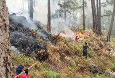 Antisipasi Karhutla Susulan Gunung Welirang Mojokerto, Dua Posko Siaga di Pacet dan Trawas 