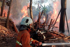 Gudang Kayu di Kutorejo Mojokerto Ludes Terbakar, Tiga Unit Damkar Berjibaku Selama Tiga Jam