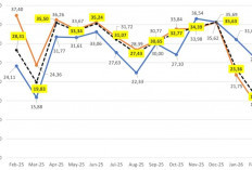 TPK Hotel di Kabupaten Mojokerto Februari 2026 sebesar 16,10 persen, Turun Dibandingkan Bulan Lalu