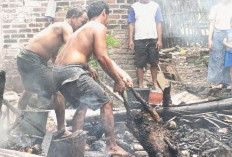 Kandang Kambing di Kutorejo Mojokerto Ludes Terbakar, Dua Ekor Mati Terpanggang