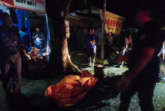 Dua Pria Tewas Usai Sepeda Motor Dikendarai Tabrak Pohon Mojosari Mojokerto