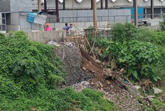 Plengsengan Pasar Manggisan, Tanggul, Jember, Longsor