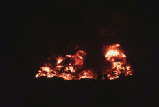Gudang Ban Bekas di Mojokerto Terbakar, Asap Hitam Pekat Membumbung