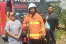 Ular Kayu 1,5 Meter Masuk Kandang Bebek Warga di Puri, Dievakuasi Damkar
