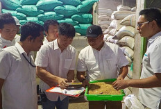 Bulog Jatim Lampaui Target Serapan Gabah/Beras, Tembus 100 Ribu Ton