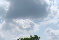 Siang Ini Hujan Merata di Seluruh Kecamatan di Kabupaten Mojokerto