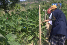 Kunjungi Pusur Institut di Boyolali dan Klaten, Tim Mewlafor Dapat Ilmu Pembayaran Jasa Lingkungan