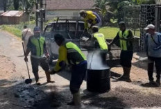 Jalan Rusak di Pacet Mojokerto Akhirnya Diperbaiki Usai Warga Protes dengan Tanam Pohon Pisang