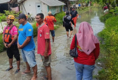 BPBD Jember Respon Banjir Rendam Ratusan Rumah di Wuluhan, Air Capai 80 Sentimeter