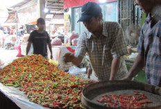Penurunan Harga Cabai Rawit Penyebab Utama Deflasi Mojokerto di Bulan April 2026