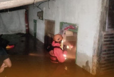 Hujan Deras, Picu Banjir dan Longsor di Jember, 191 KK Terdampak