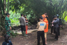 Mbah Dullah Diduga Hanyut di Sungai di Bangsalsari, Jember 