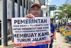 Ratusan Karyawan PT Pakerin Mojokerto Blokir Gerbang Pabrik, Tuntut Gaji dan Hak yang Tak Kunjung Dibayar