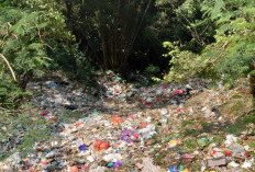 Jurang Gembolo Jadi Tempat Sampah Liar, Bau Menyengat dan Ancam Kelestarian Kawasan Wisata Pacet–Trawas