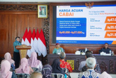Cabenisasi di Kota Mojokerto Berlanjut hingga 2029, Lebih dari 102 Ribu Bibit Telah Dibagikan