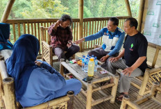 WeHasta Gencarkan Pelihara Sumber Mata Air, Tanam Bibit Pohon Beringin