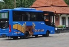Trans Jatim Koridor II Segera Diluncurkan, Warga Malang Raya Bisa Naik Bus Rp 5 Ribu