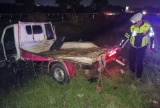 Ban Pecah di Tol Jomo, Pikap Pengangkut Daging Ayam Terguling dan Muatan Berserakan