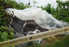 DLH Mojokerto Libatkan Gakkum Kementerian LH Usut Dua Kasus Limbah B3 di Trowulan dan Pungging