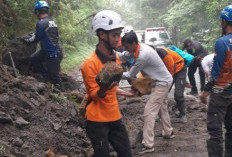Longsor Kembali Terjadi di Jalur Mojokerto - Batu via Cangar