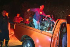 Motor Terperosok ke Jurang 15 Meter di Claket, Damkar Mojokerto Lakukan Evakuasi Dini Hari