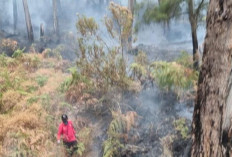 Hujan di Pacet dan Trawas Bantu Padamkan Titik Api Karhutla di Lereng Welirang Mojokerto