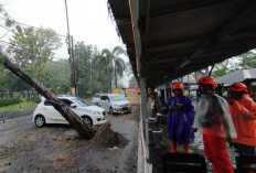Di Jember, Angin Kencang dan Longsor Terjang 4 Kecamatan, 14 Rumah Rusak Ringan