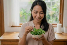 Jangan Remehkan Daun Kemangi, Lalapan Favorit Ini Ternyata Menyimpan Banyak Manfaat bagi Kesehatan