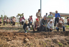 300 Pemuda Turun Tangan, Green Action di Kota Mojokerto Dorong Lingkungan Makin Hijau