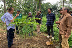 ­­­­­­Tinjau Proyek Mewlafor, Tim UNIDO Kunjungi SDN Pandan dan PPLH Seloliman