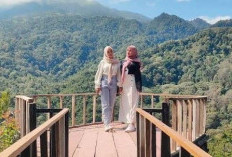Modal 50.000 Bisa Healing? Cek 5 Destinasi Wisata Murah di Pacet dengan View Mewah Pegunungan