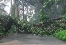 Waspada Cuaca Ekstrem di Mojokerto pada 13 hingga 19 November 2025