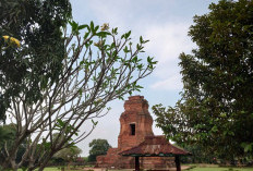 Zonasi Kawasan Cagar Budaya Nasional Trowulan Bakal Direvisi