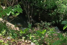 Hujan Deras Picu Longsor di Dua Kecamatan Jember, Fondasi Rumah dan Irigasi Ambrol