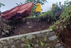 Plengsengan Jalan Ambrol, 2 Rumah Warga di Sumberbaru, Jember, Terancam Longsor Susulan
