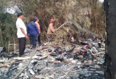 Rumah Semi Permanen di Mojokerto Ludes Dilalap Si Jago Merah