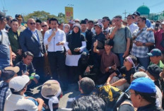 Harga Telur Anjlok hingga Rp16 Ribu per kg, Pemprov Jatim Siapkan Intervensi dan Perda Perlindungan Peternak