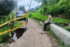Hujan Deras Akhir Pekan, Ribuan KK di 9 Kecanatan di Jember Terdampak