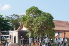 Terminal Mojosari Dapat Sentuhan Perbaikan, Pos Pendataan Mulai Dibangun