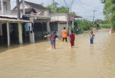 Tiga Desa di Dawarblandong Mojokerto Terendam Banjir Akibat Luapan Anak Sungai Lamong